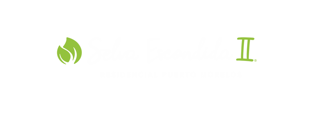 Selva escondida - Puerto Morelos